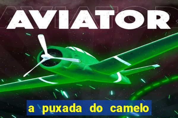 a puxada do camelo no jogo do bicho